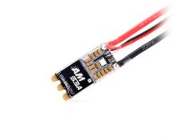 TM-AM-ESC